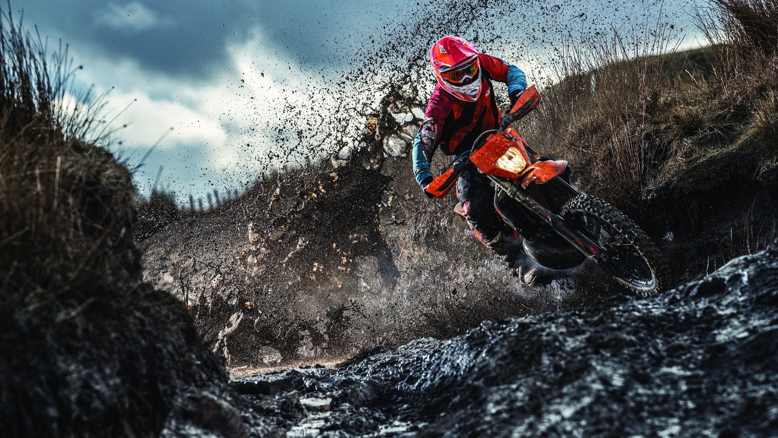 普劳德触壁瞬间领先半个身位，普劳是什么意思