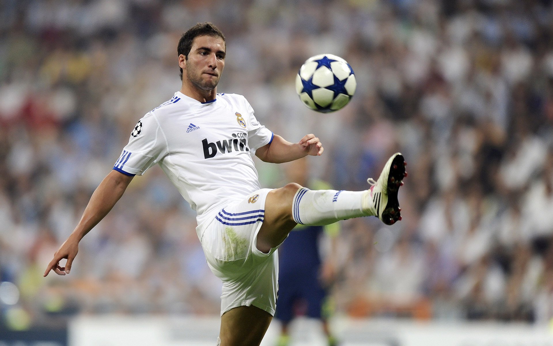 美洲杯顶尖对抗：激情、技术、智慧的较量，美洲杯集锦视频